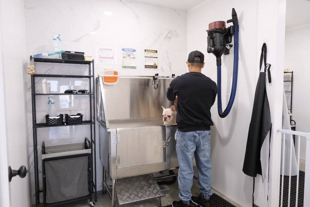 We HAVE 2 SELF WASH STATIONS